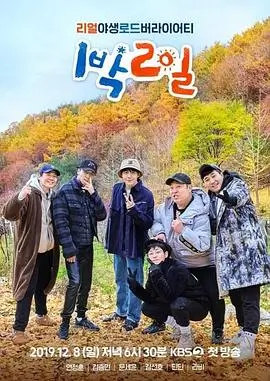 向往的生活 综艺 2025 第8季